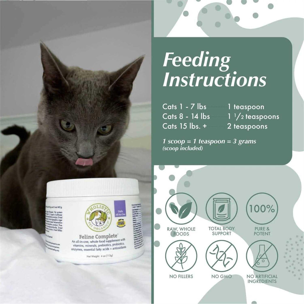 Complete Cat W27466