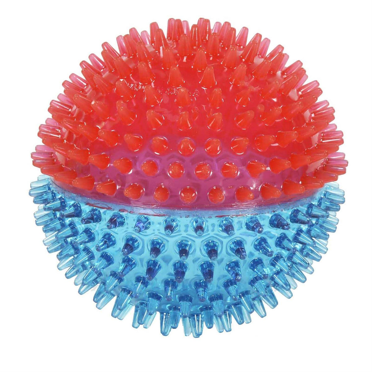 Spiky Ball Dog Toy C272256