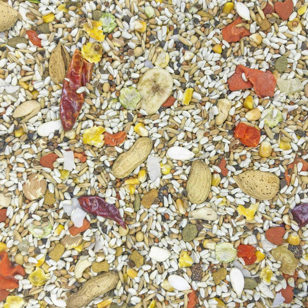 Safflower Gold Parrot Food W2728