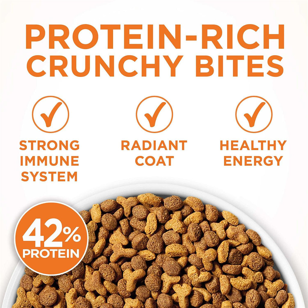 Dry Cat Food P1559