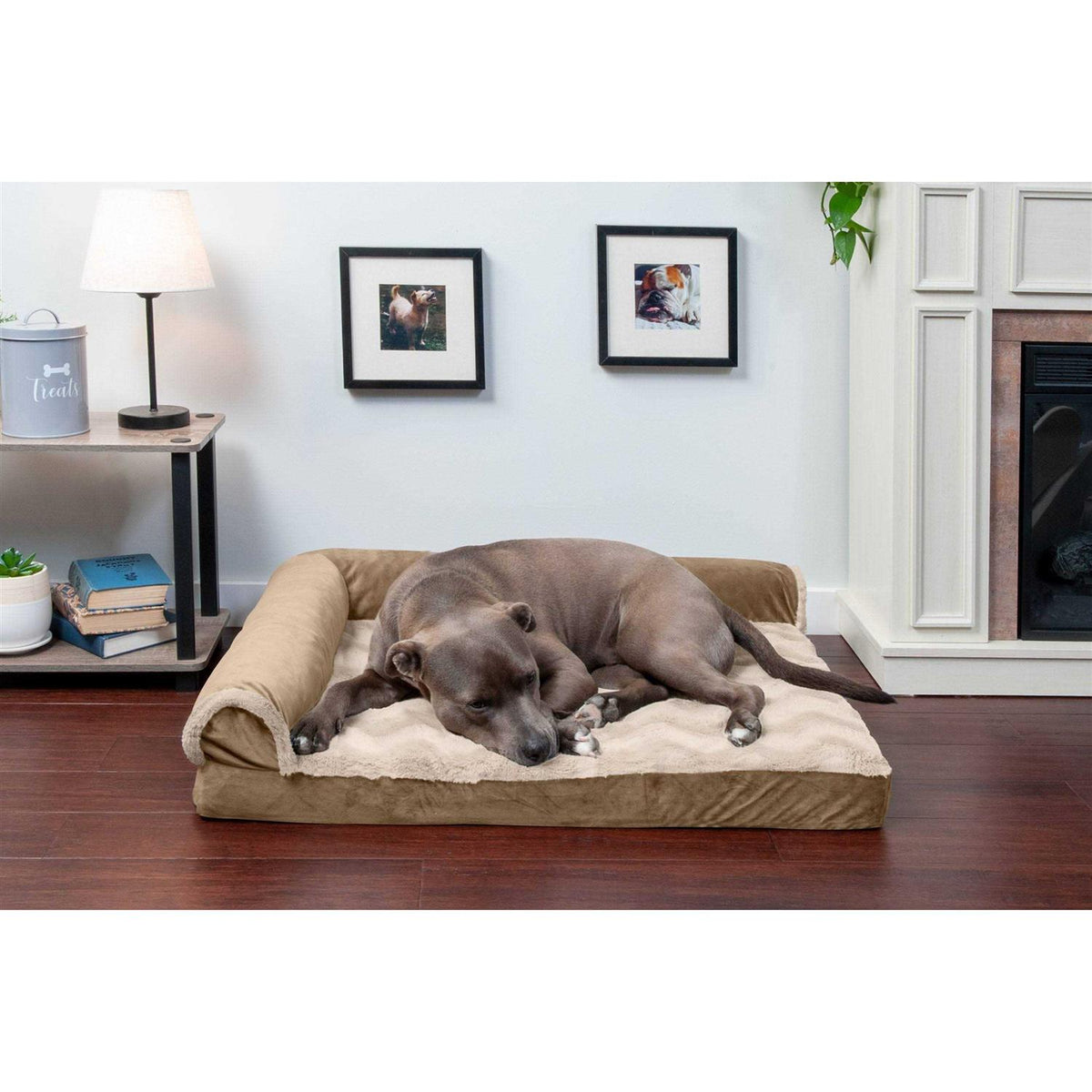 Velvet Chaise Lounge Dog Bed G283194
