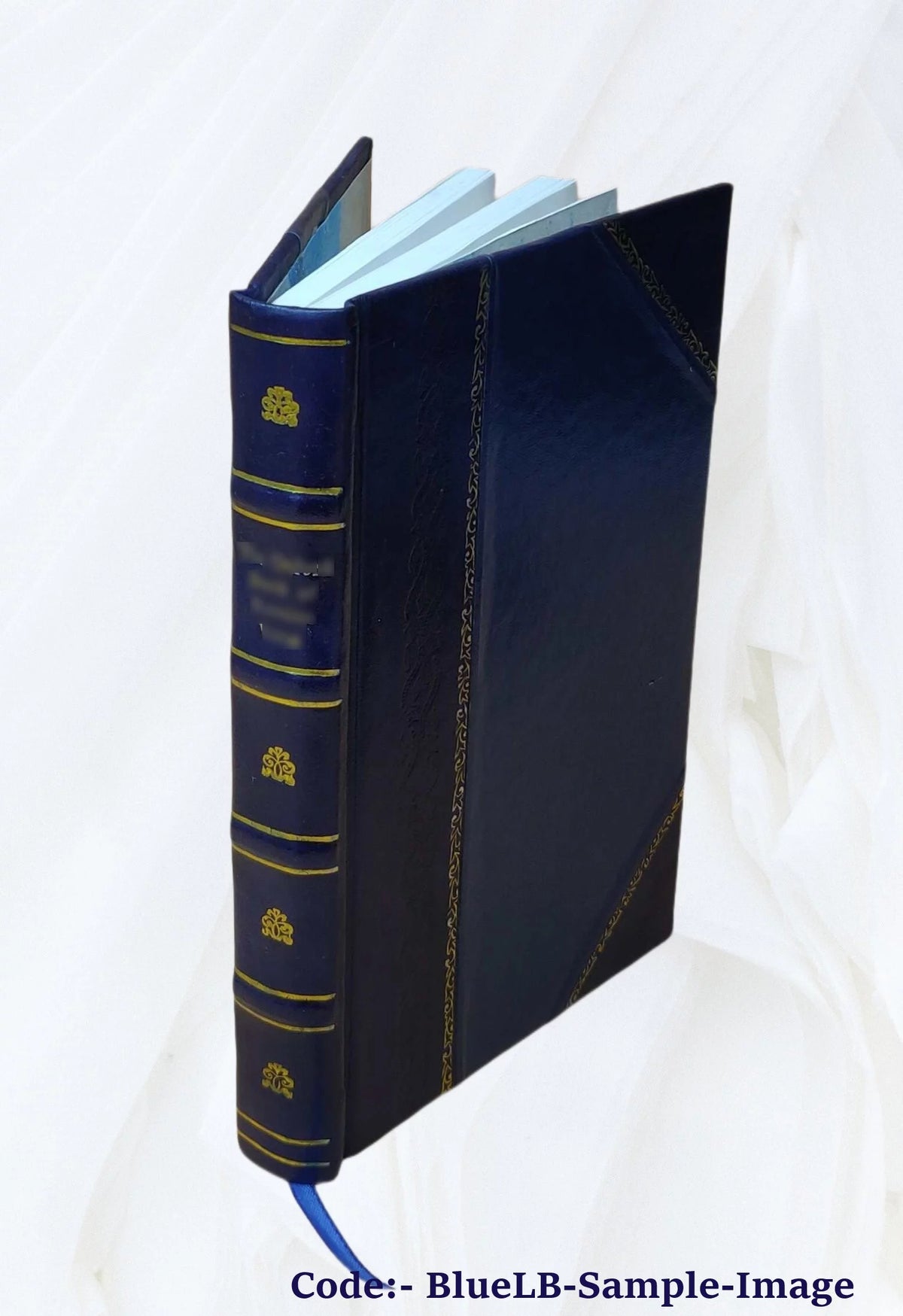 Leather Bound Book G8461