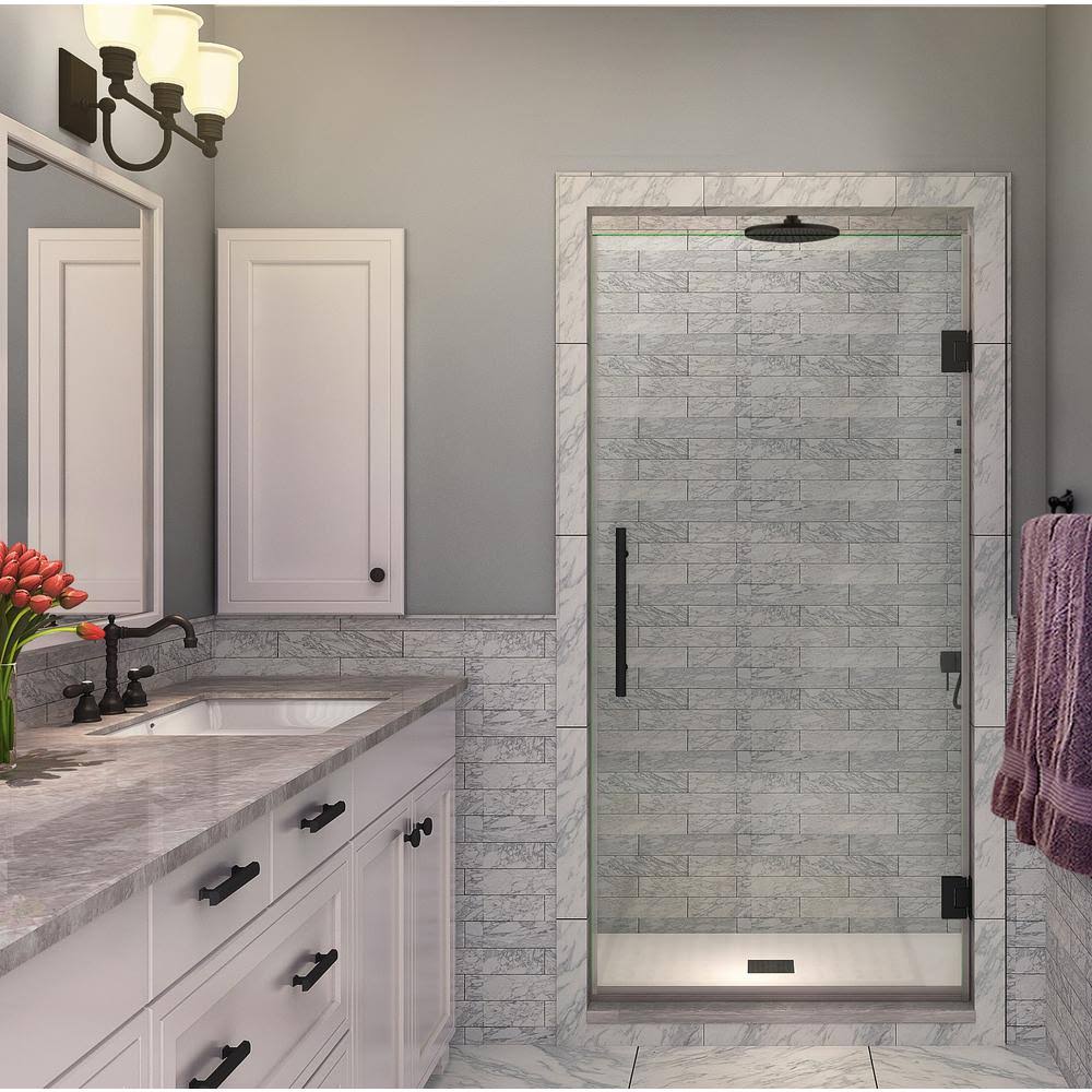 Black Hinged Frameless Shower Door D390