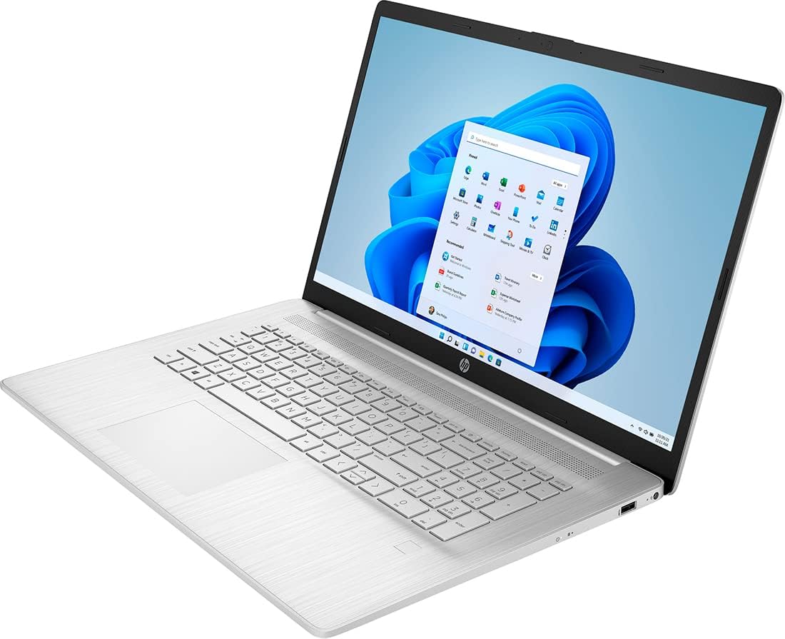 17.3'' HD+ Touchscreen AMD Ryzen 5 16GB RAM 1TB SSD Windows 11 Enterprise Silver Notebook Laptop W537932