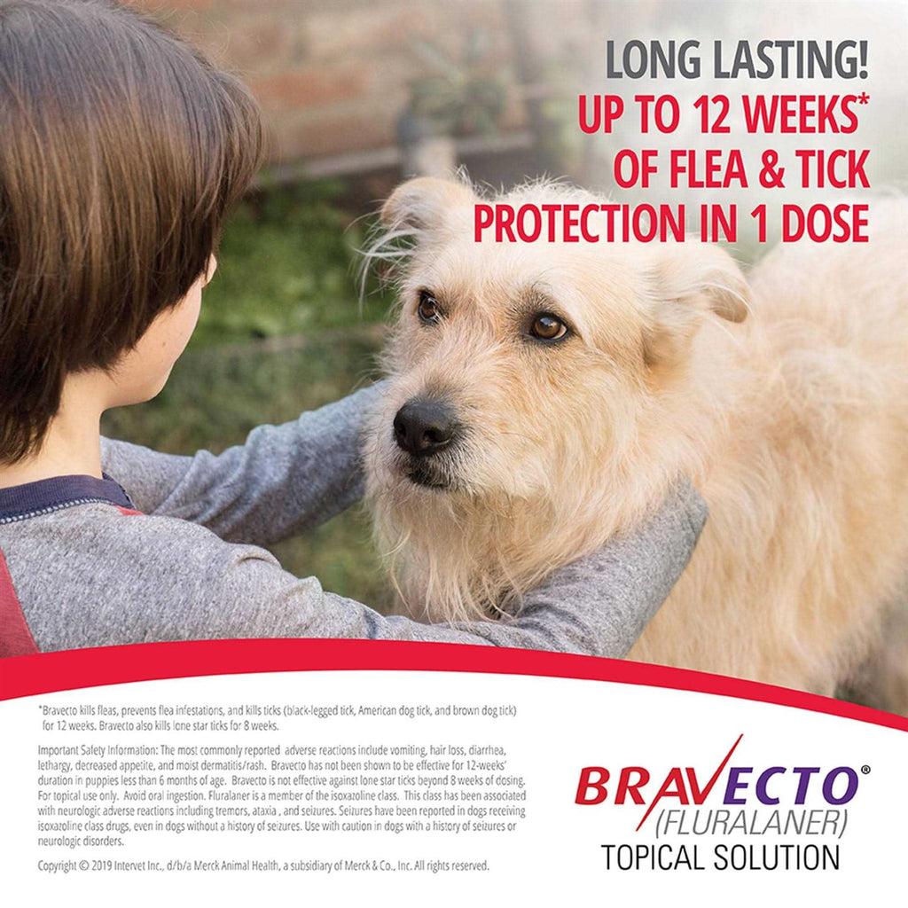 Topical Solution for Dogs X247