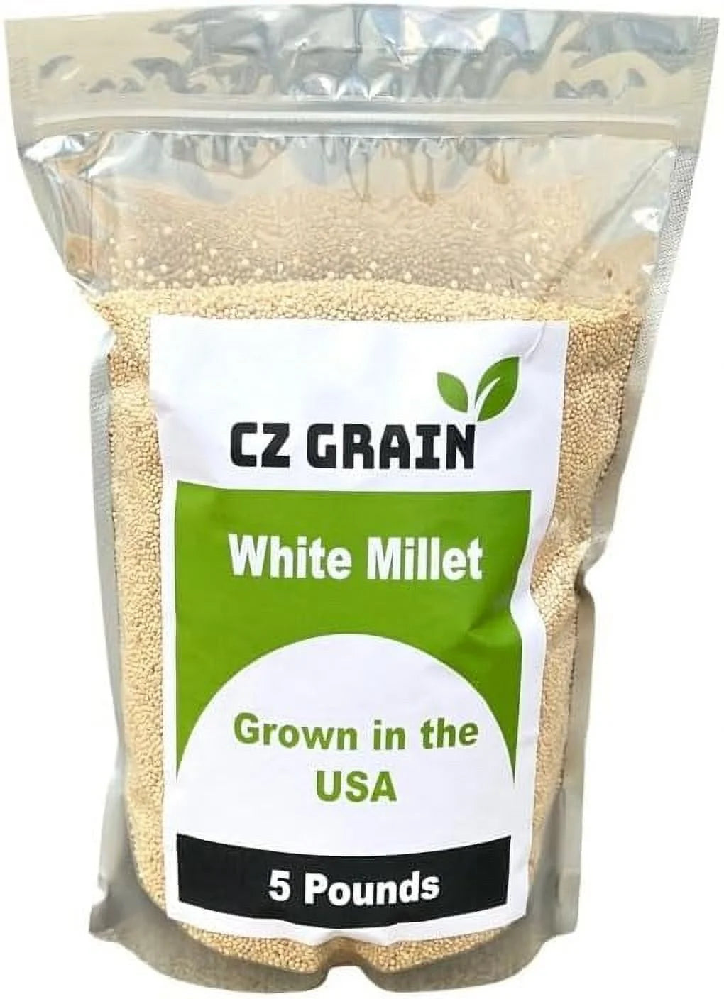 White Millet Proso Seeds H763