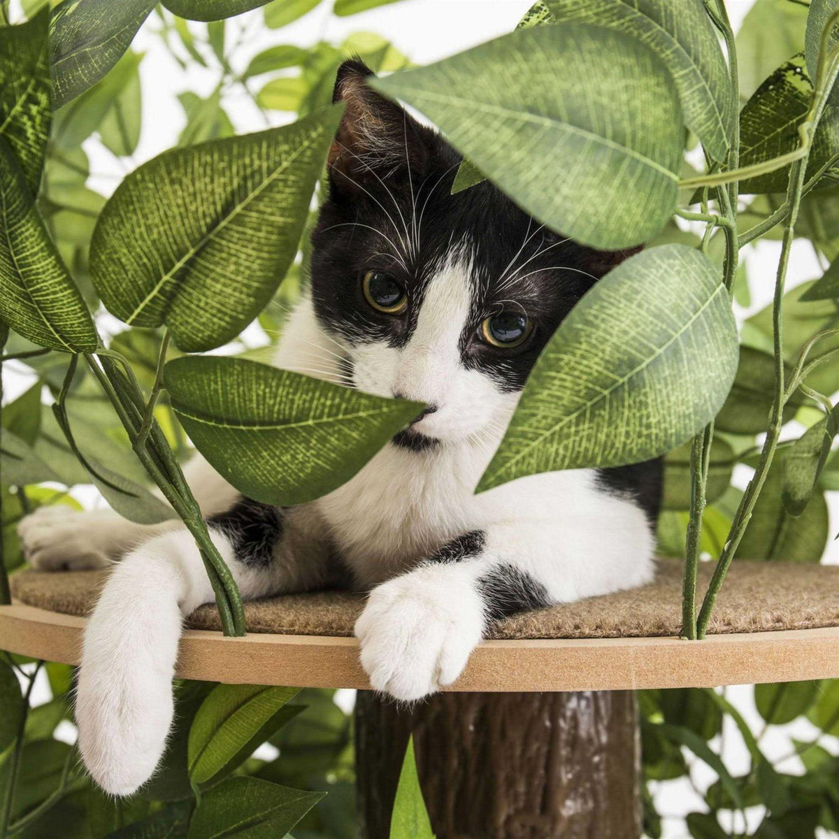 4ft Interchangeable Leaves Cat Activity Tree B870