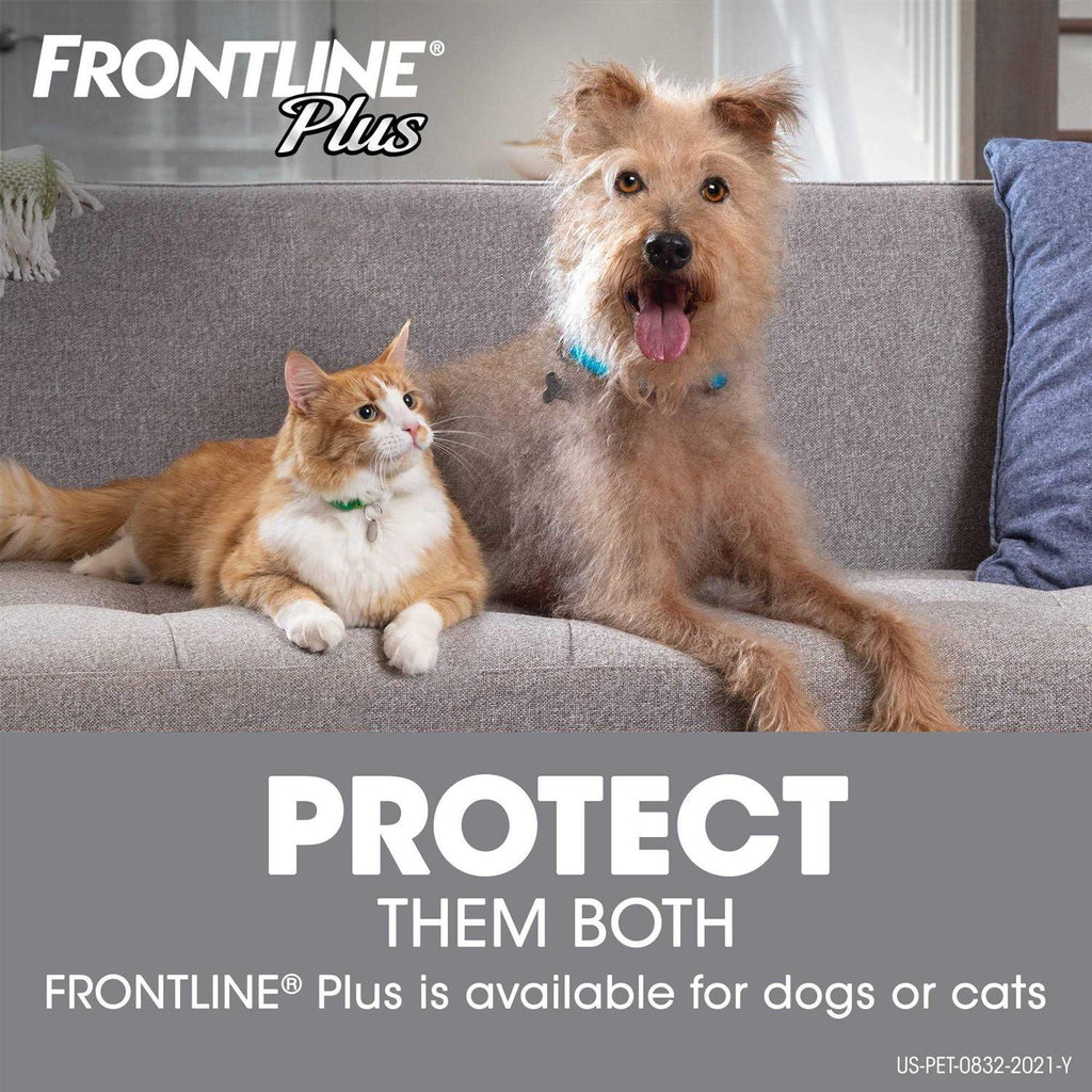 Flea Tick Dogs T307230