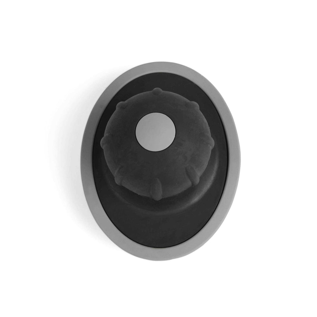 Curry Shampoo Dispensing Brush for Dogs L15461