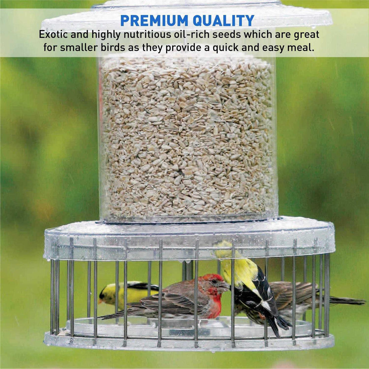 Sunflower Kernels Wild Bird Food 50 lb E78221