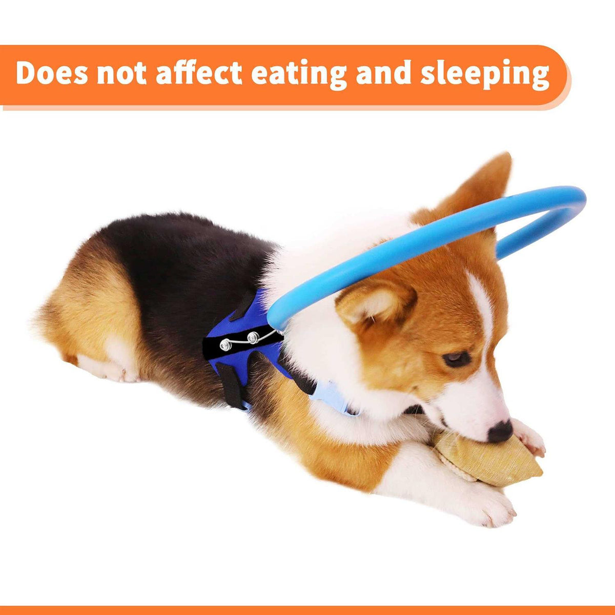 Blind Dog Harness Guiding Device N2994