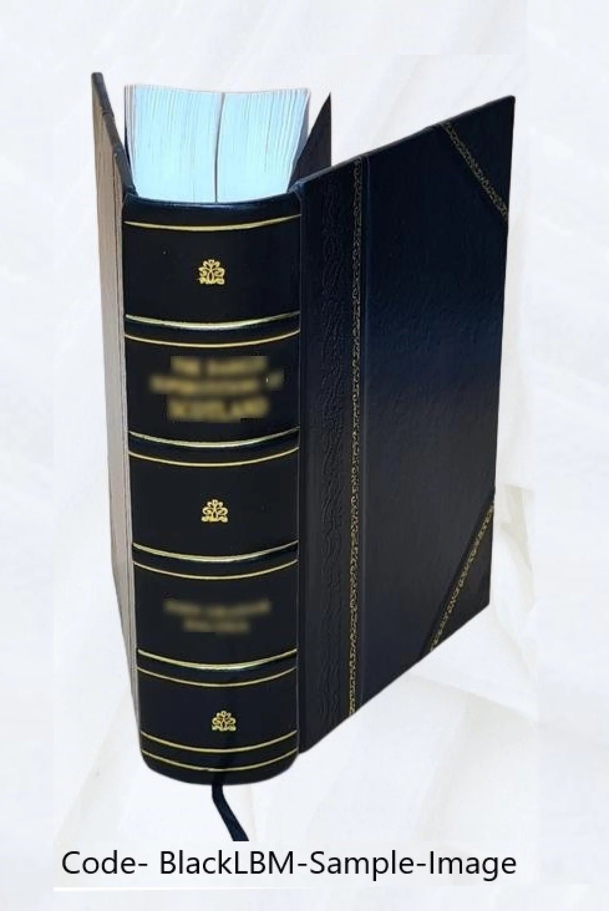 Leather Bound M2833