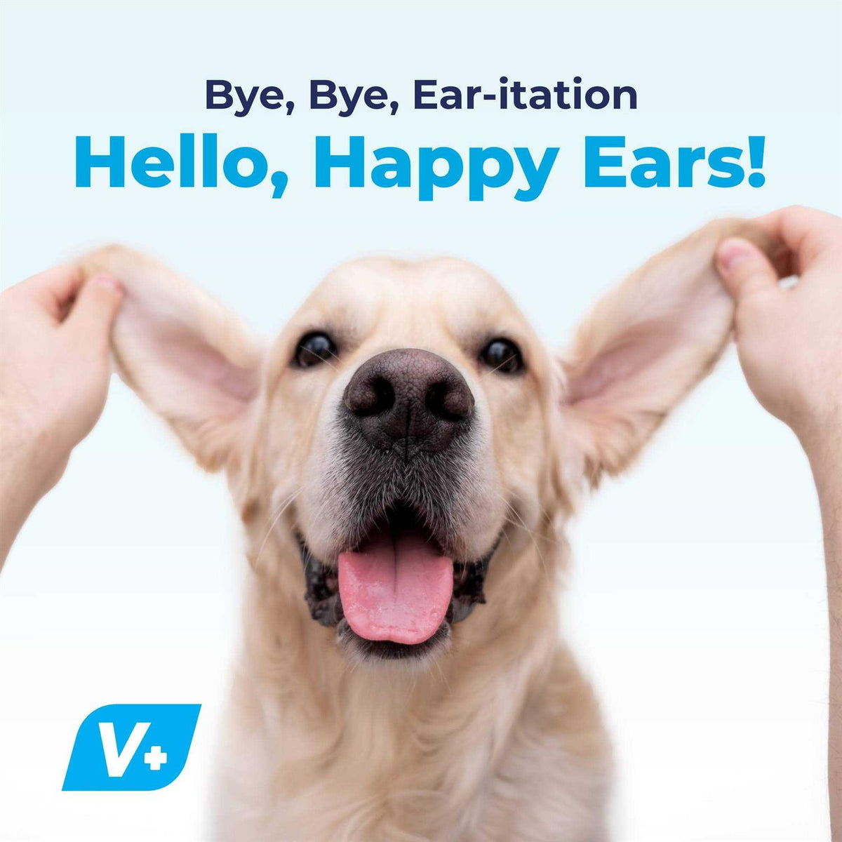 Ear Drops for Dogs & Cats with 1% Hydrocortisone Z6139