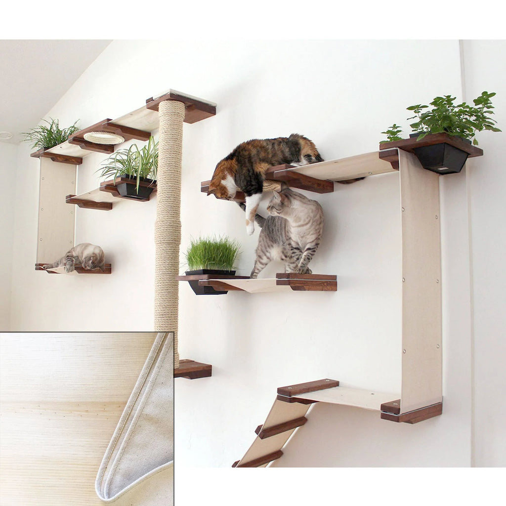 Cat Mod Garden Complex T10390