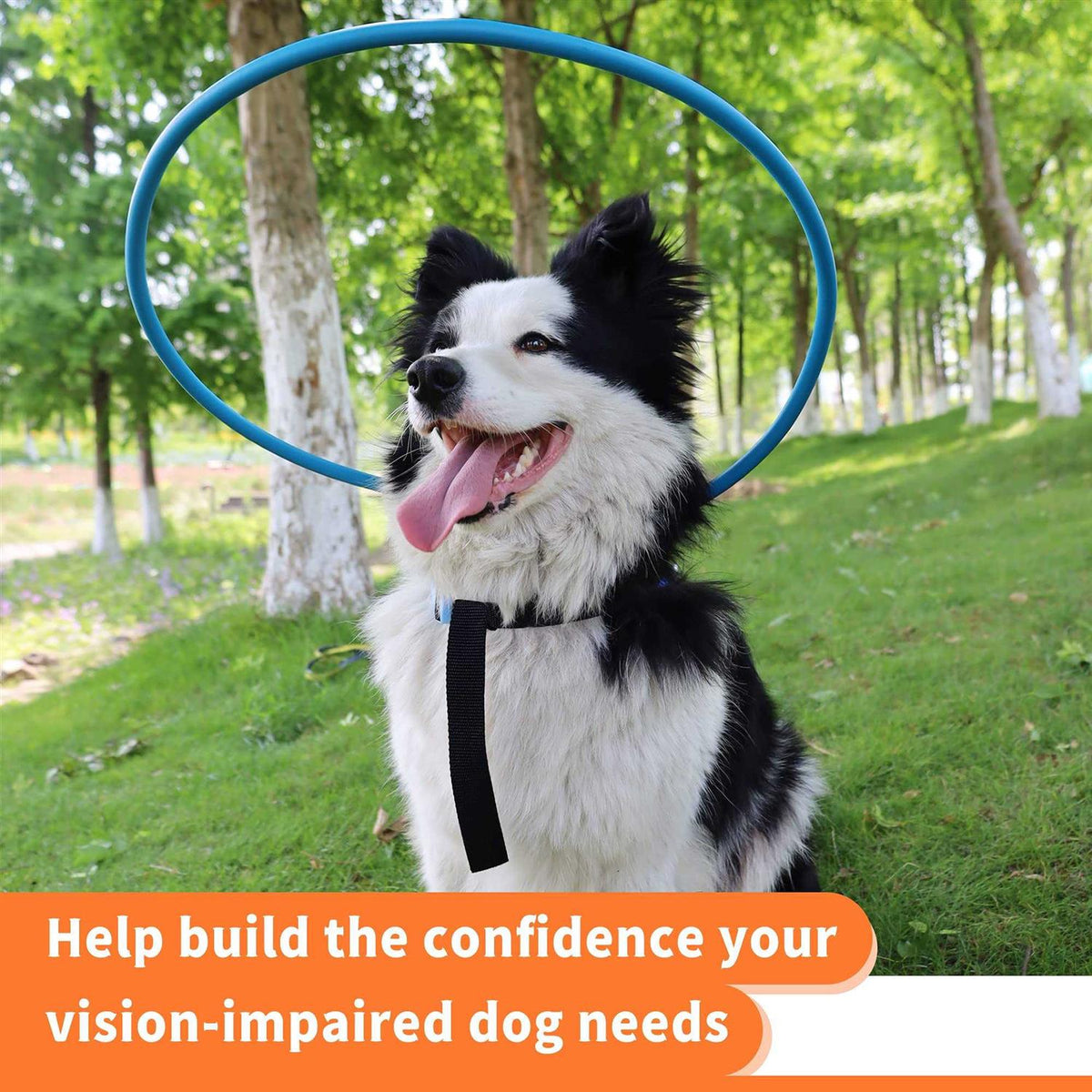 Blind Dog Harness Guiding Device N2994