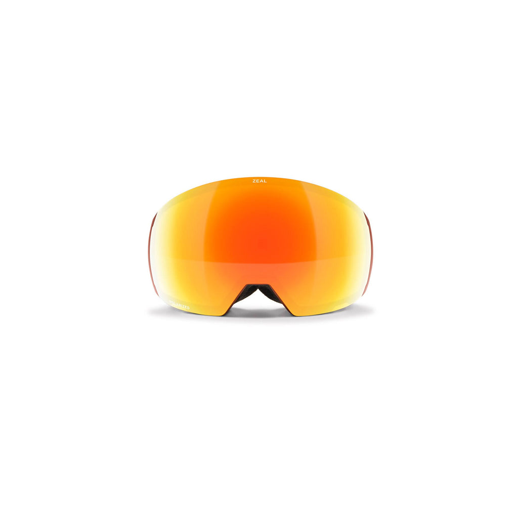 Snow Goggles Q441