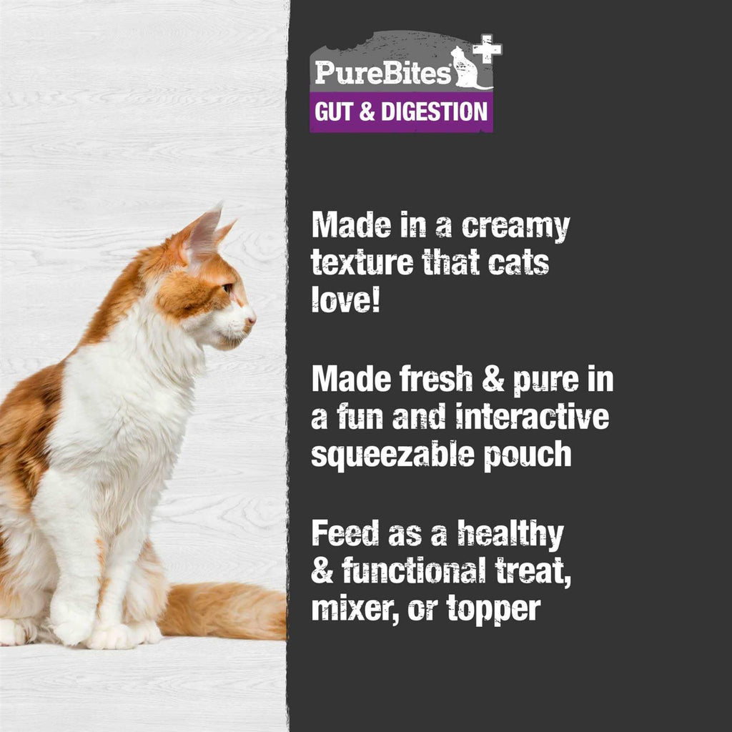 Squeezable Cat Food B62069