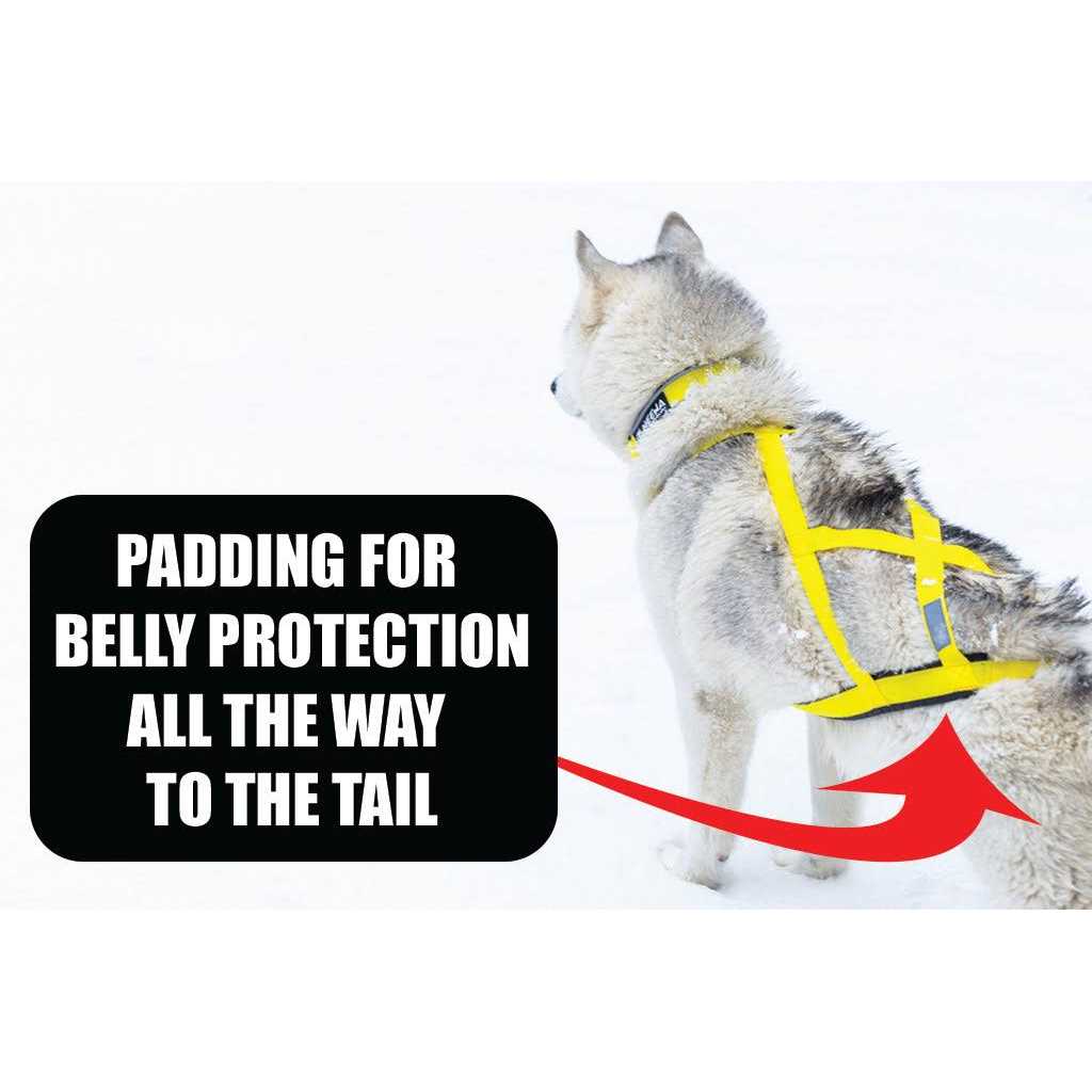 Dog Pulling Harness K671