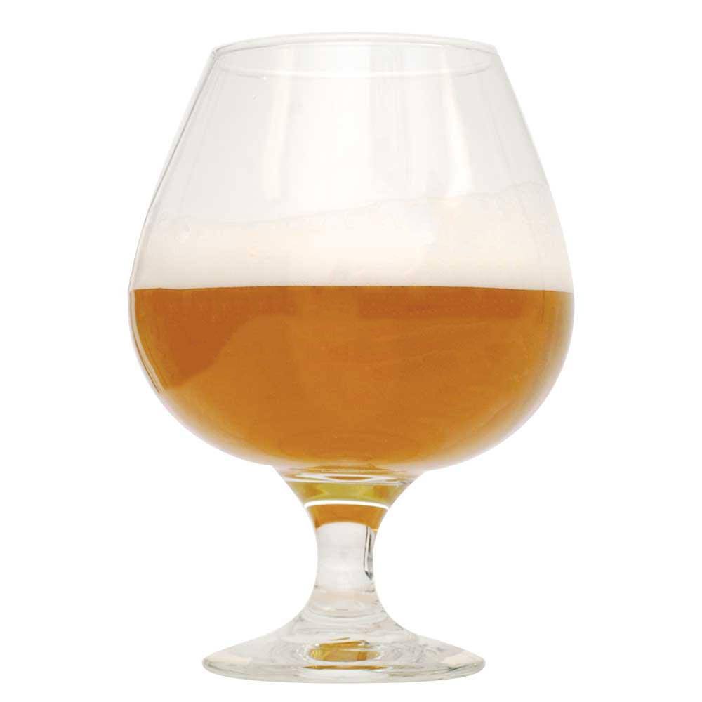 Imperial IPA Beer Recipe Kit I418586