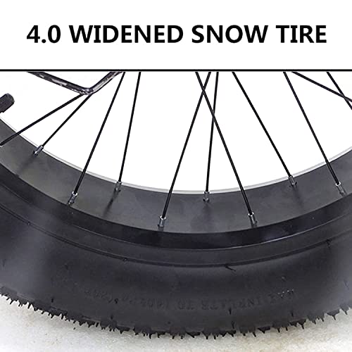 7 Speed 20 Inch Fat Tire Adult Tricycle with Shopping Basket M756