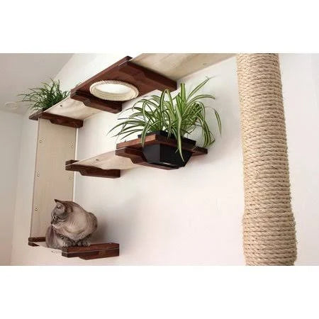 Cat Mod Garden Complex T10390