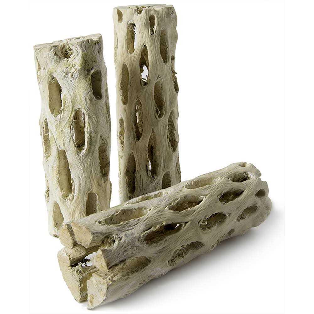 Cholla Wood K6656