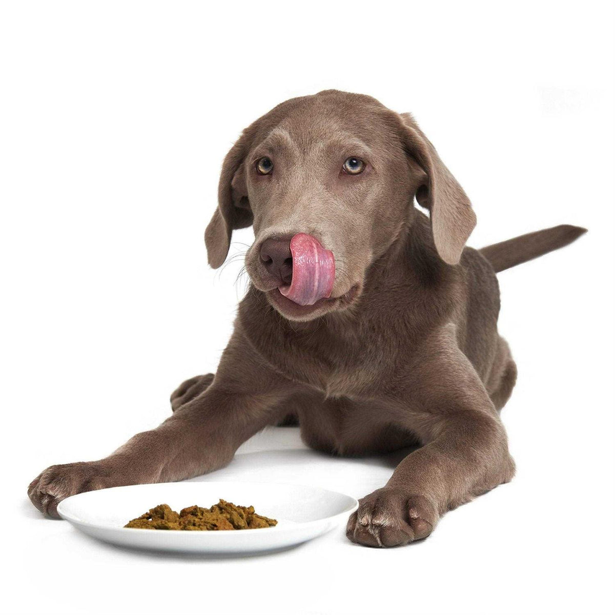 Dehydrated Pet Food T216173