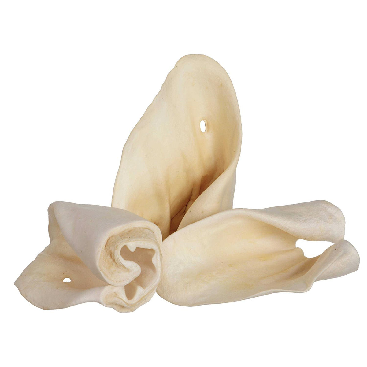 Cow Ears J685