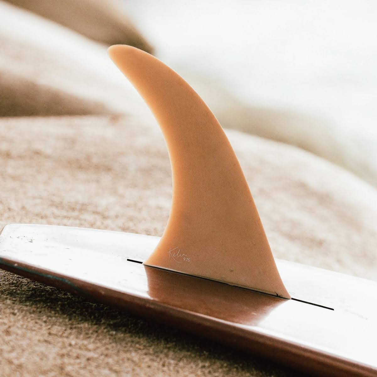 Longboard Fin 9.75in W209
