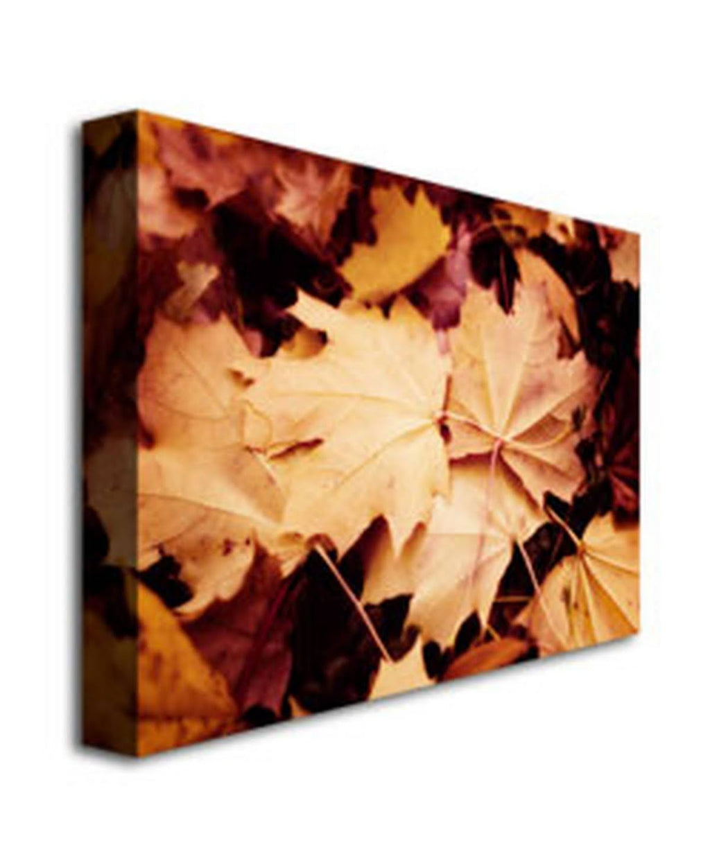 Canvas Art R612597