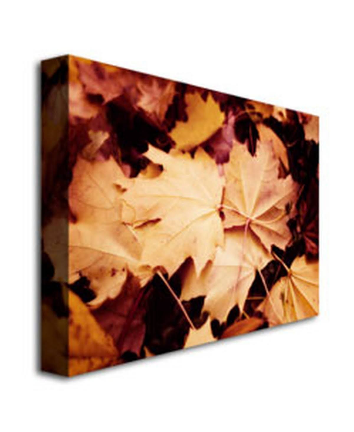 Canvas Art R612597
