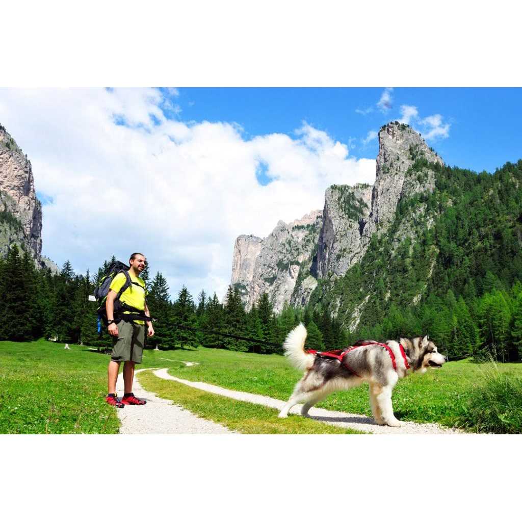 Dog Pulling Harness K671