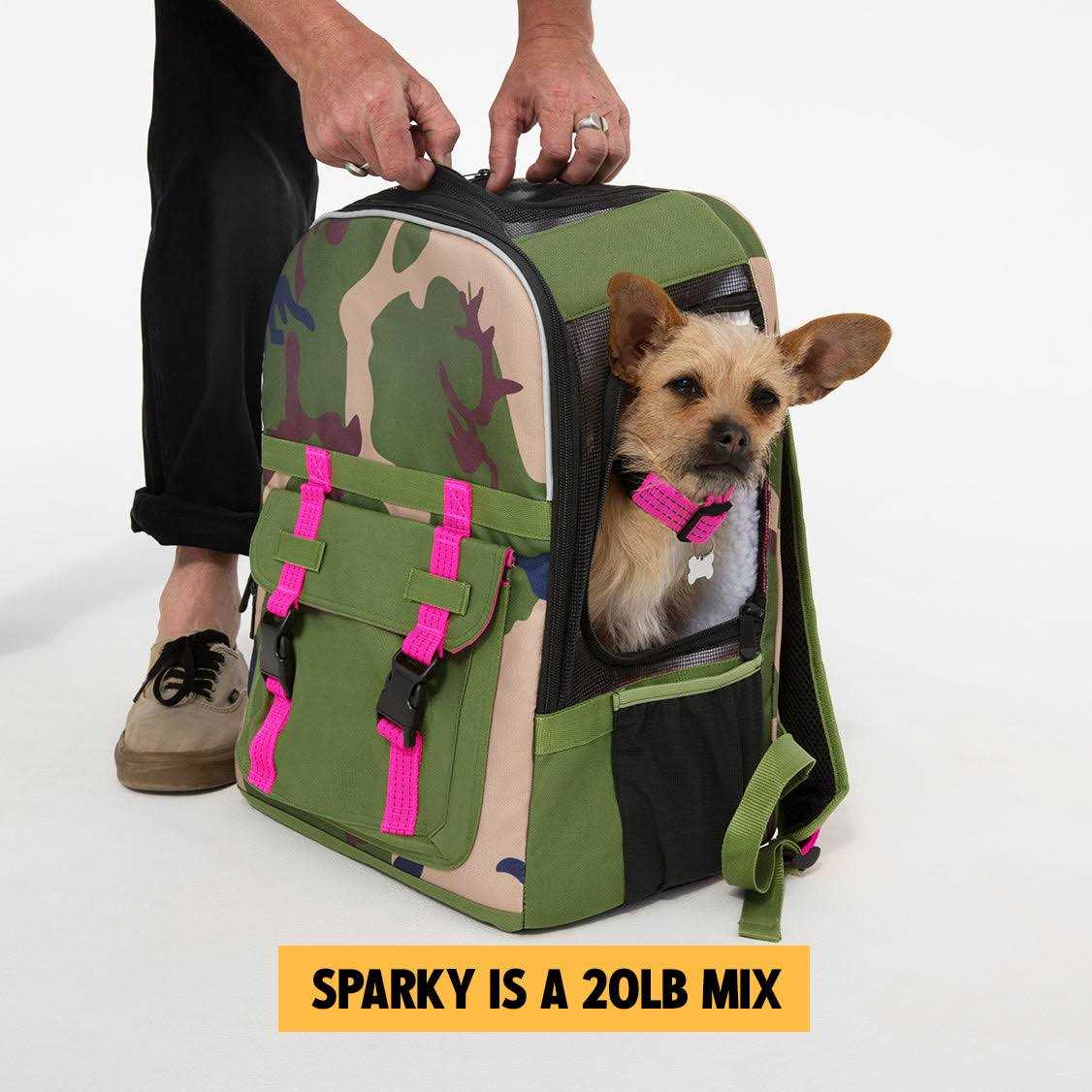 Airline-Compliant Pet Backpack Carrier F432137