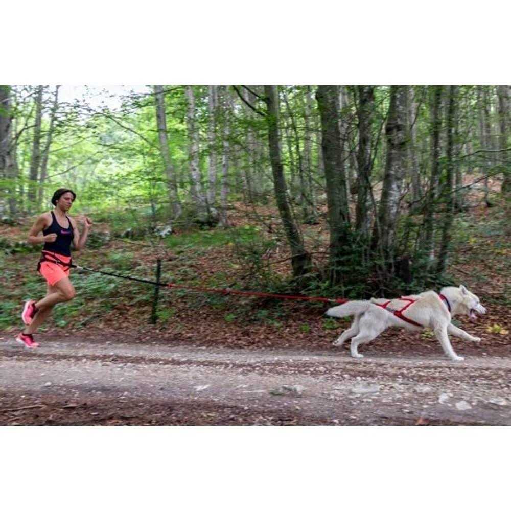 Dog Pulling Harness K671