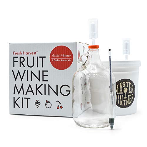 One Gallon Fruit Wine Making Kit E340