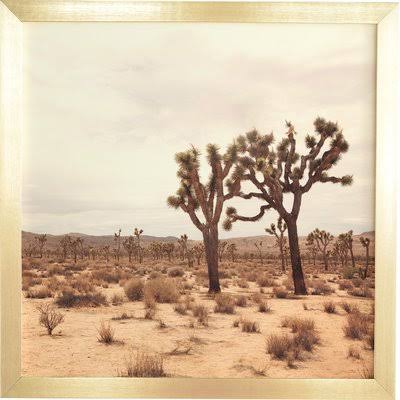 Beige Photographic on Wood in Gold Frame 20x22 Y860947