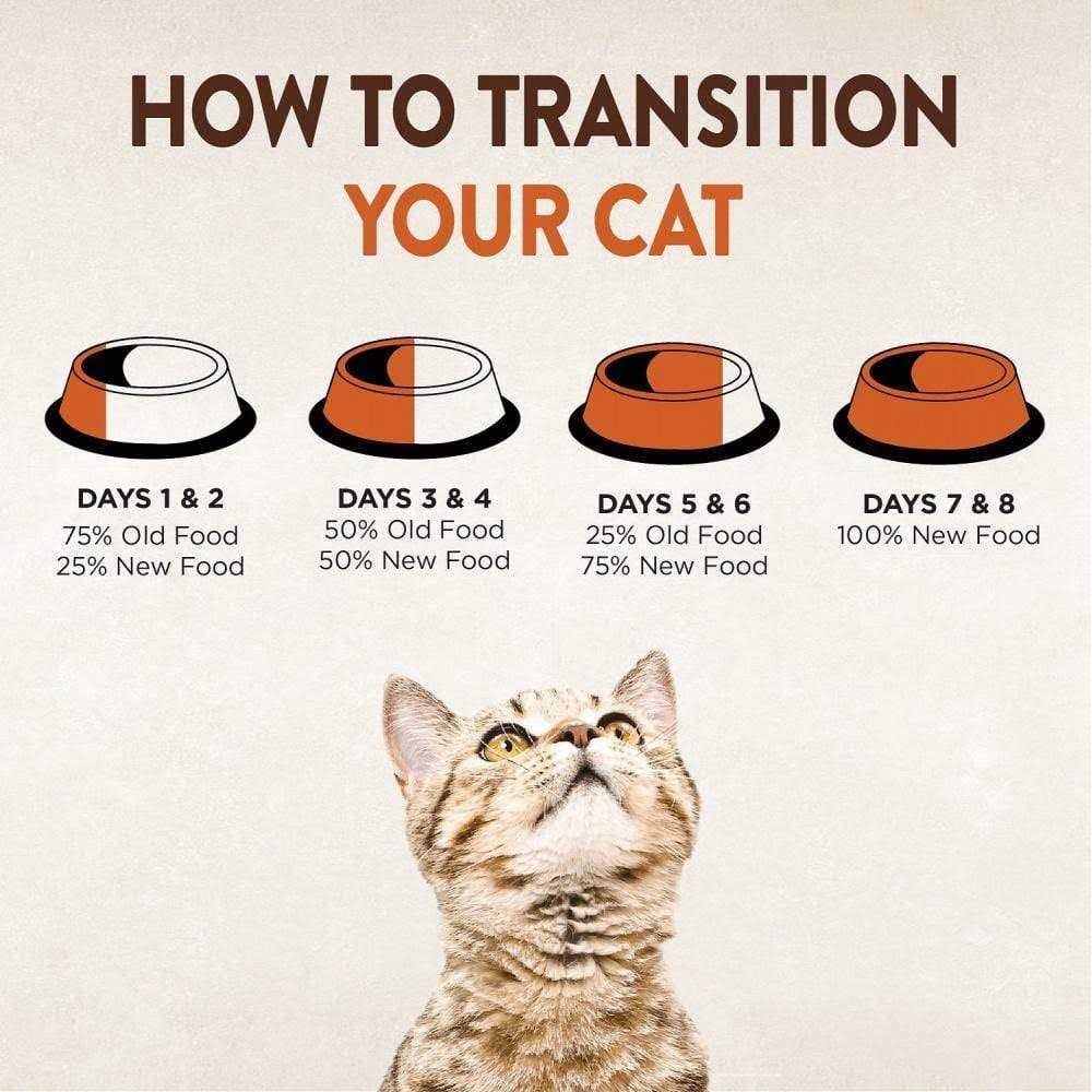 Grain-Free Dry Cat Food X85663