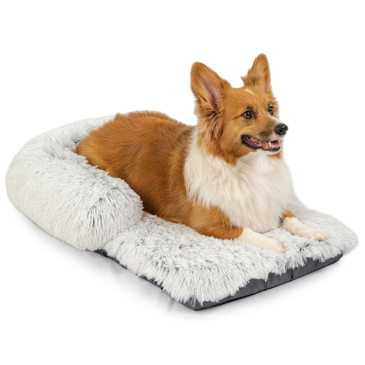 Dog Mat J22356