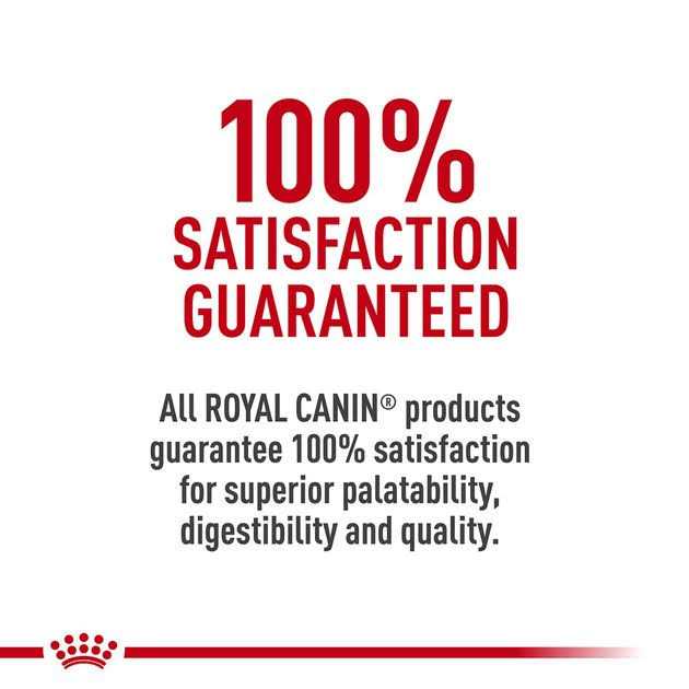 Canned Wet Dog Food R237
