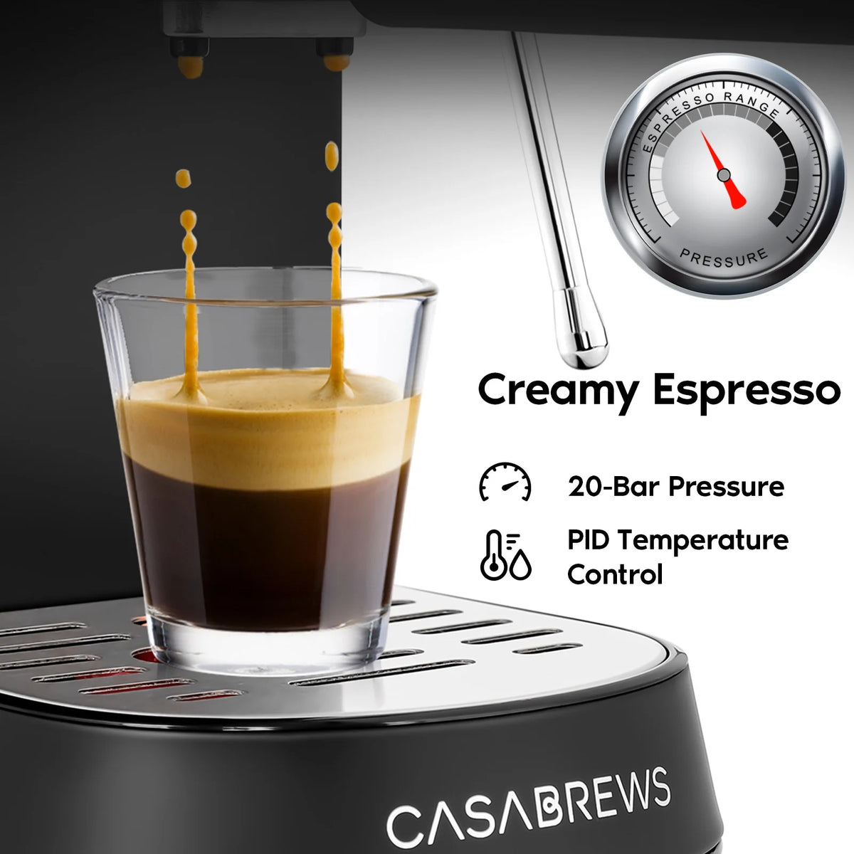 20 Bar Espresso Machine with Milk Frother, Stainless Steel A5447