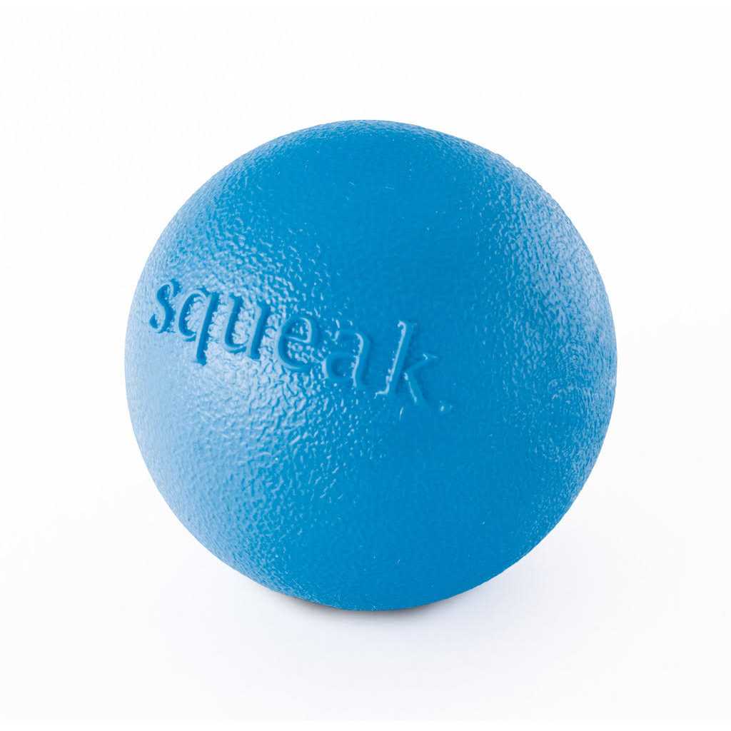 Squeak Toy Ball U522