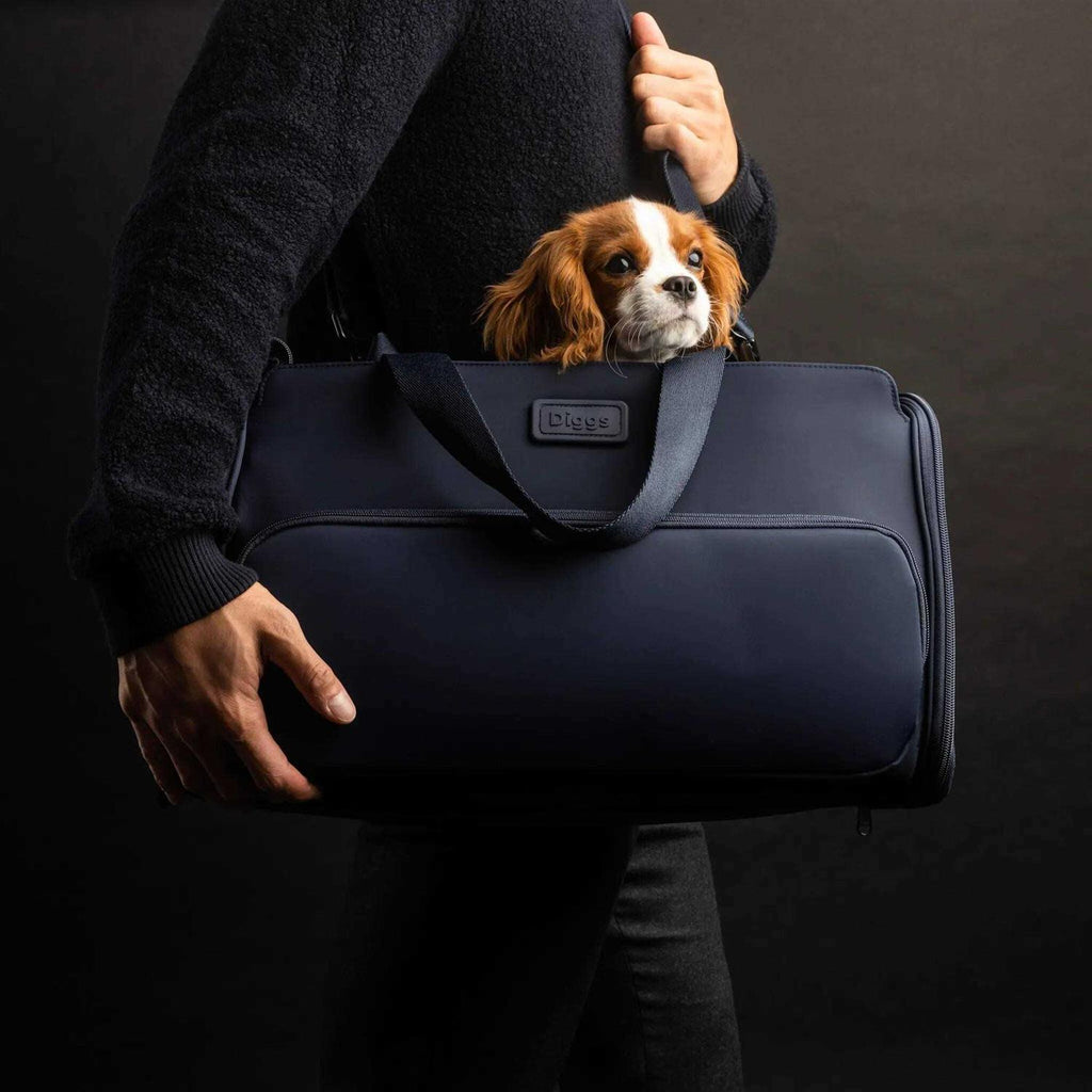 Travel Pet Carrier for Small Dogs and Cats H73193