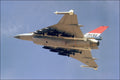 F-16XL Fighting Falcon Gallery Poster U594