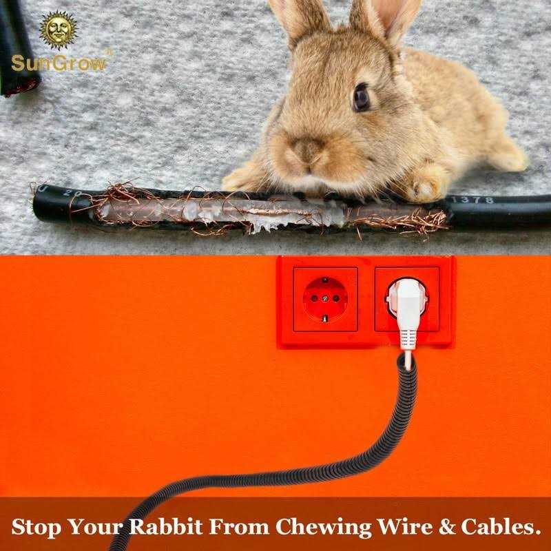Cord Protector From Pets Y75213