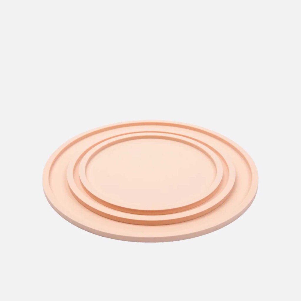 Dog Placemat Y266