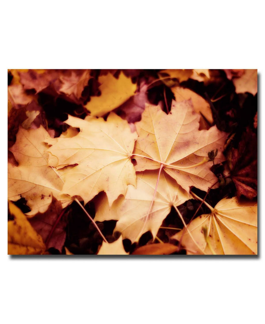 Canvas Art R612597