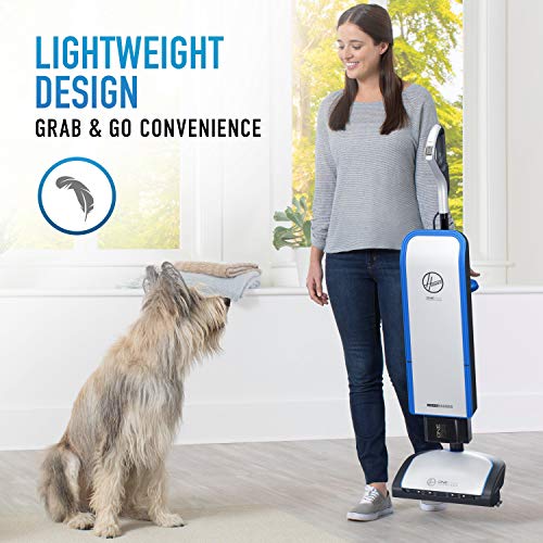 Cordless Upright Vacuum Cleaner U411