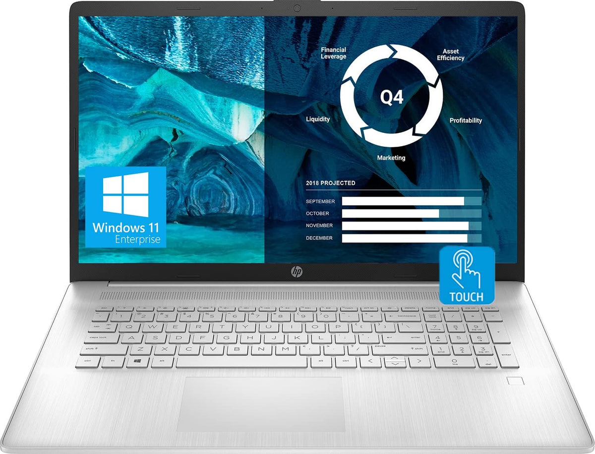 17.3'' HD+ Touchscreen AMD Ryzen 5 16GB RAM 1TB SSD Windows 11 Enterprise Silver Notebook Laptop W537932