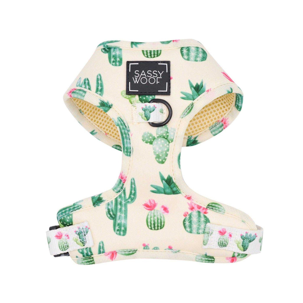 Adjustable Dog Harness K44607