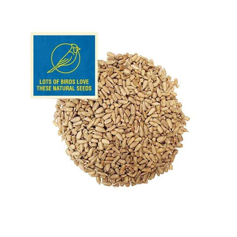 Sunflower Coarse Hearts Bird Seed I9873